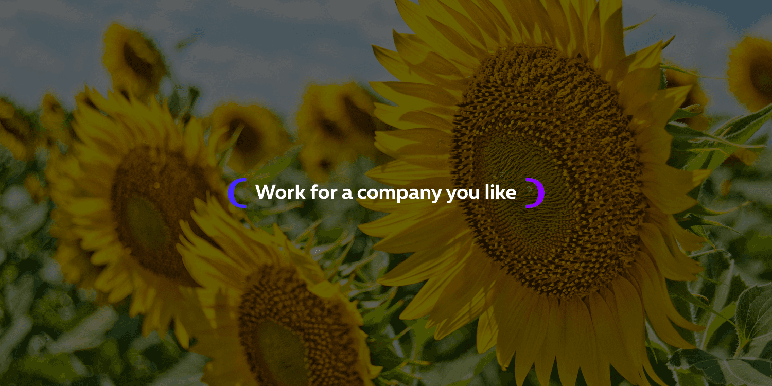 company cover